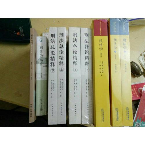 刑法总论精释（第三版·上下）