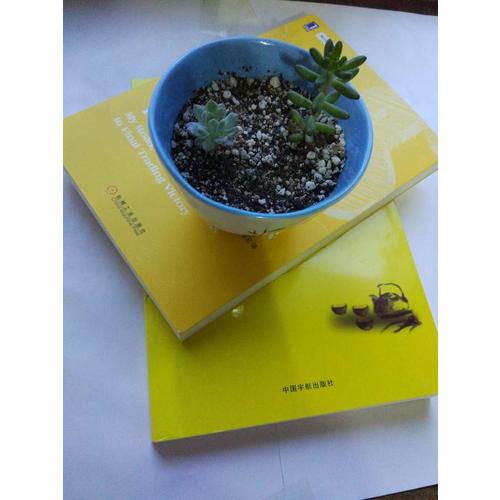 缠中说禅：教你炒股票