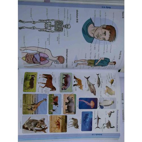 朗文多功能英汉双解词典(第五版)