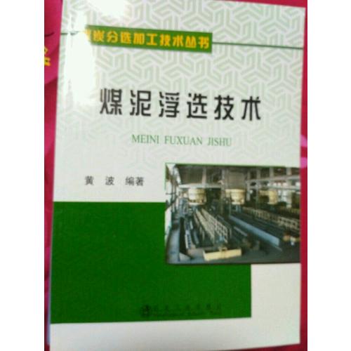 煤泥浮选技术