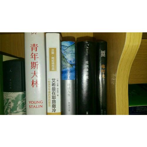 艾希曼在耶路撒冷：一份关于平庸的恶的报告