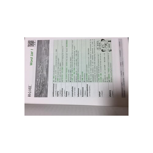 新东方 GRE词汇精选：乱序版