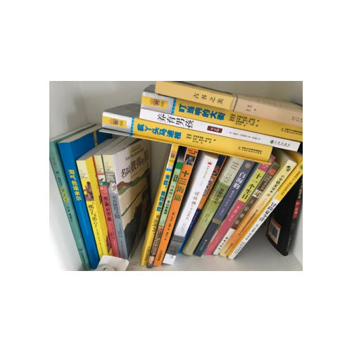 林格伦儿童文学作品集·典藏版：长袜子皮皮