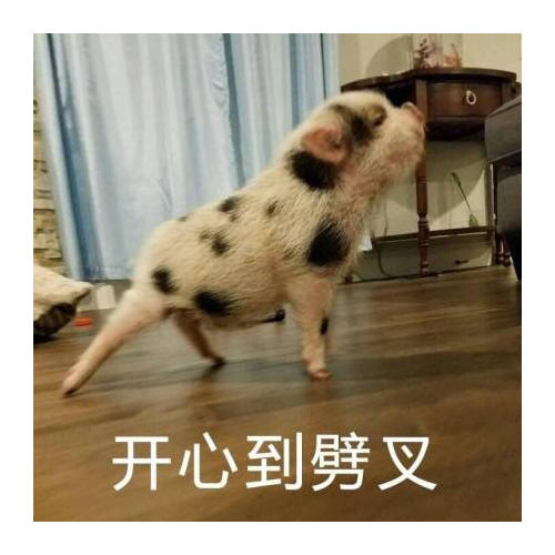 胆小鬼侦探