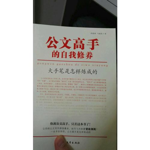 公文高手的自我修养：大手笔是怎样炼成的