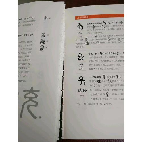 汉字树：活在字里的中国人