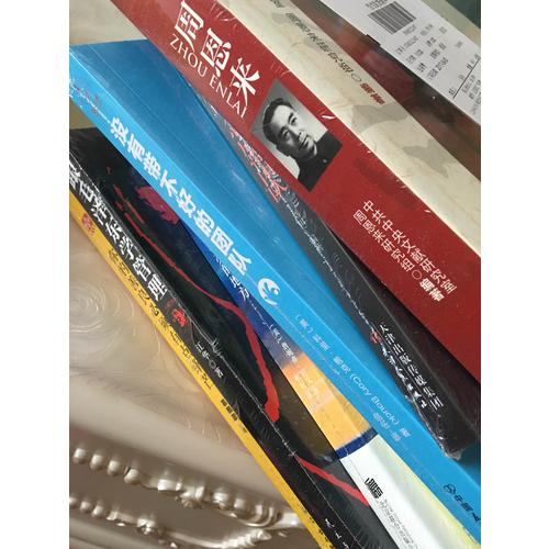 开国领袖画传系列·