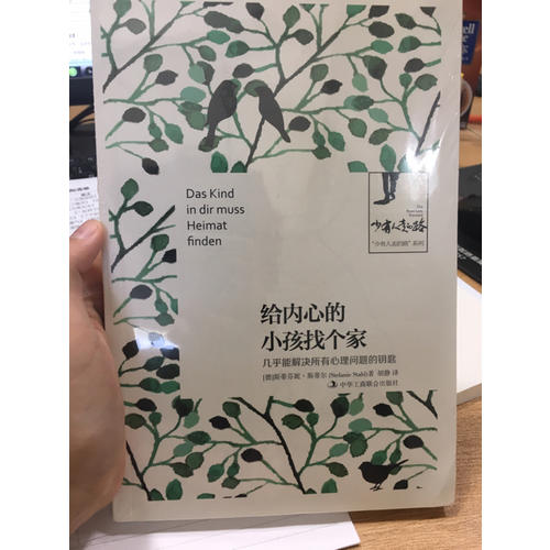 给内心的小孩找个家： 几乎能解决所有心理问题的钥匙