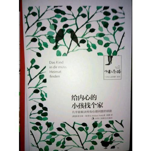 给内心的小孩找个家： 几乎能解决所有心理问题的钥匙