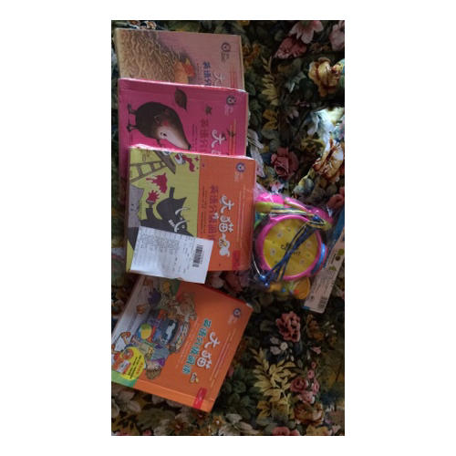 大猫英语分级阅读二级3 Big Cat