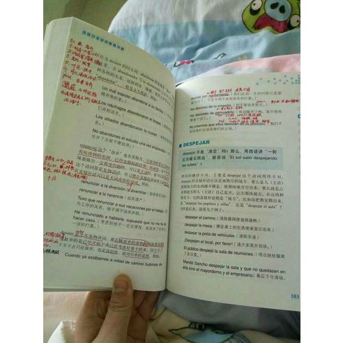 西班牙语词语疑难详解