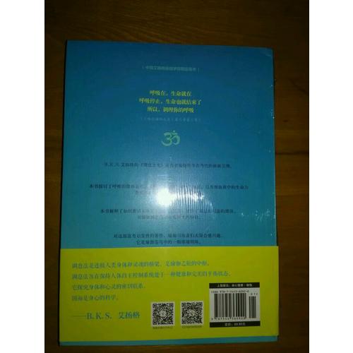 艾扬格调息之光