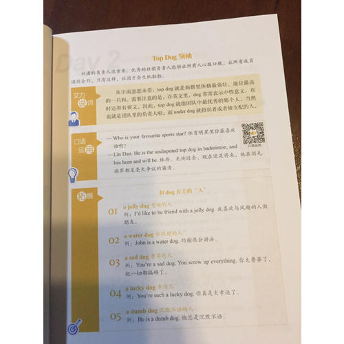 新东方 酷艾英语：酷炫口语365天