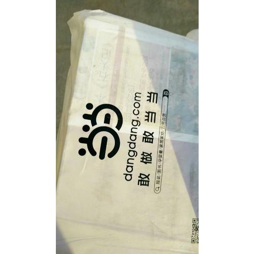 项目管理精华：给非职业项目经理人的项目管理书