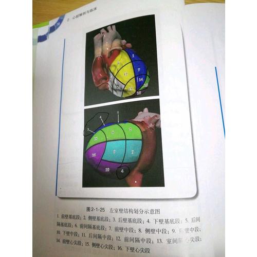 心血管内科医生成长手册（配增值服务）