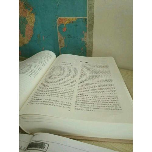 中国考古学大辞典