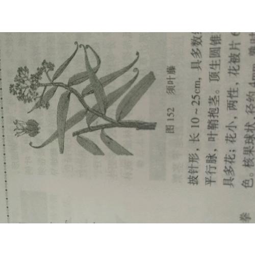 作庭记：自然式庭院设计法则