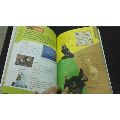 国家地理环球探索百科 共12册