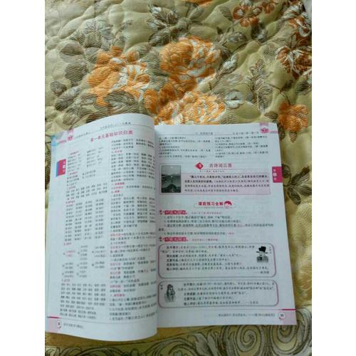 2017秋 小学教材全解 五年级语文上