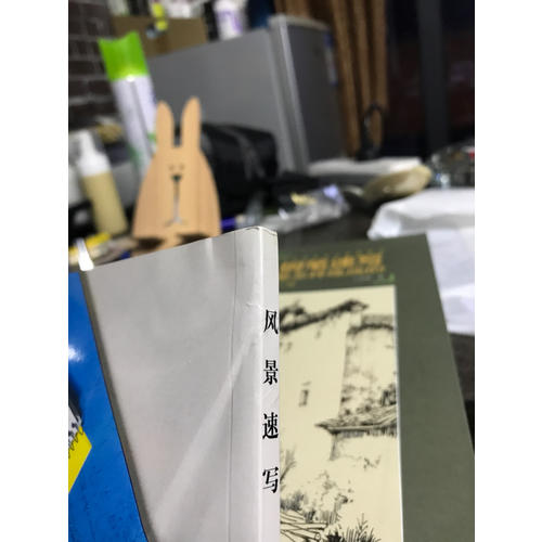 手绘表现技法详解系列·钢笔速写是怎样练成的（第二版）