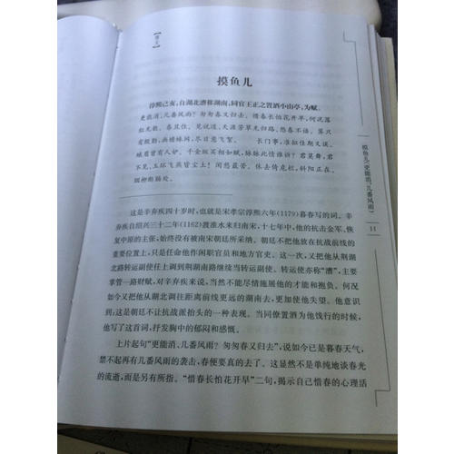 辛弃疾词鉴赏辞典