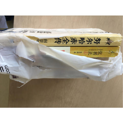 张居正大传:在险恶官场实现人生抱负的精英成长经历