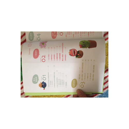 7号人轻松粘土魔法书·清新花草篇