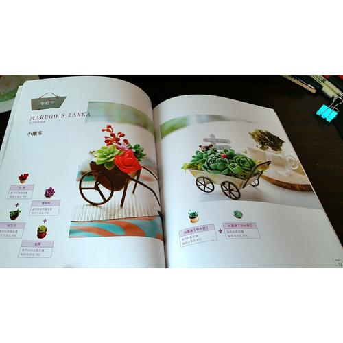 原来是黏土：丸子的彩色多肉植物日记