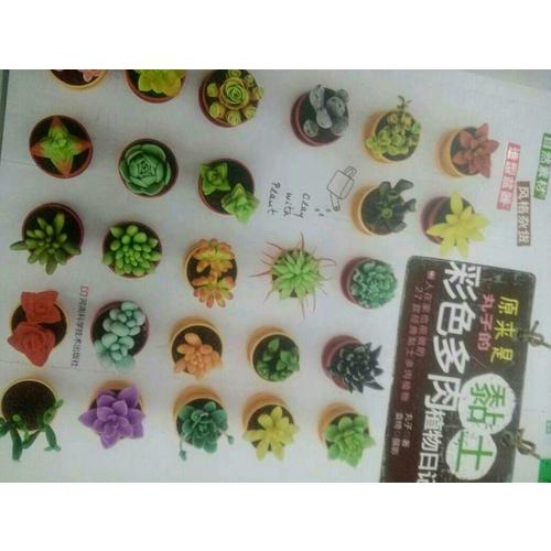 原来是黏土：丸子的彩色多肉植物日记