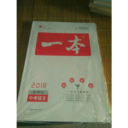 2018年一本 中考语文 初中学生总复习