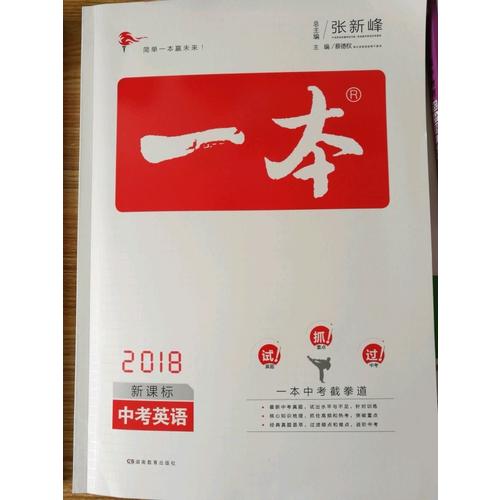 2018年一本 中考英语新课标板 初中学生总复习