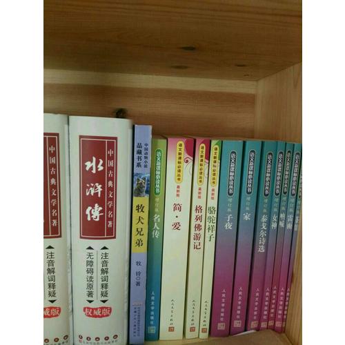 2017年中考英语满分作文（全2册）