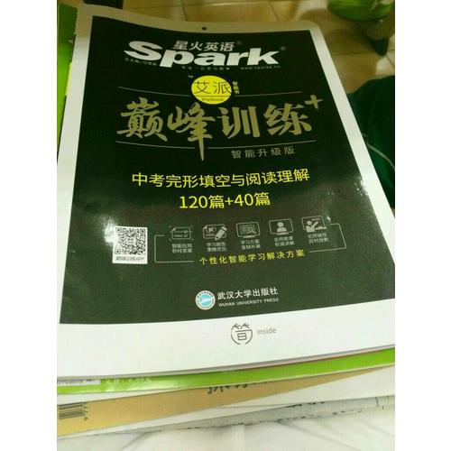 巅峰训练 中考完形填空与阅读理解