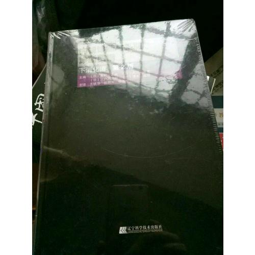 内镜诊断与鉴别诊断图谱：下消化道（第2版）