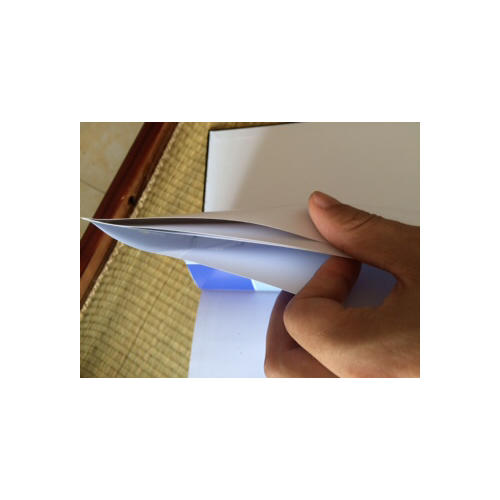 内镜诊断与鉴别诊断图谱：下消化道（第2版）