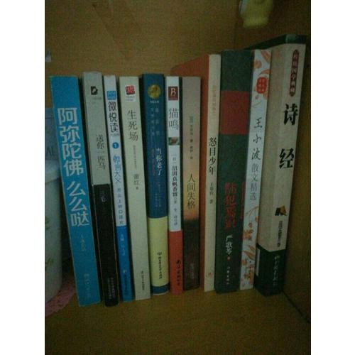 诺贝尔文学奖大系·当你老了