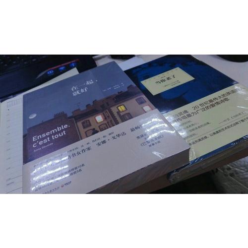 诺贝尔文学奖大系·当你老了