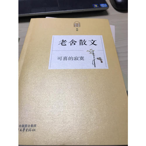 可喜的寂寞·老舍散文