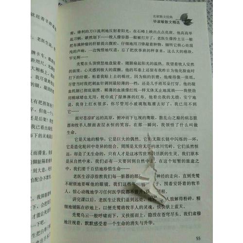 毕淑敏散文精选
