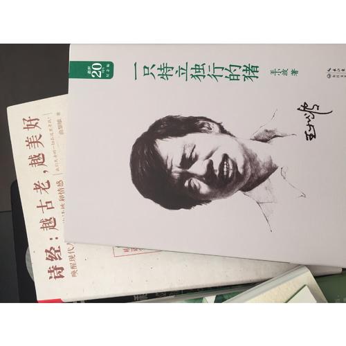 一只特立独行的猪：王小波经典作品集（20周年纪念版）