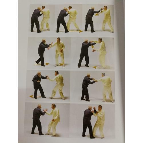 王映海传戴氏心意拳精要