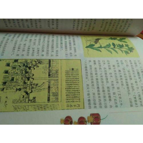 图说中国节