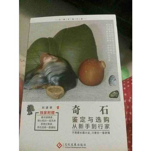 奇石鉴定与选购从新手到行家