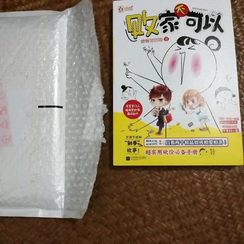 败家不可以