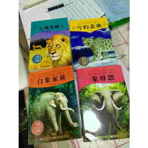 动物小说大王沈石溪·品藏书系：雪豹悲歌