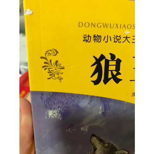 动物小说大王沈石溪·品藏书系：狼王梦