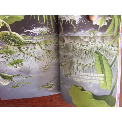 笑猫日记·青蛙合唱团