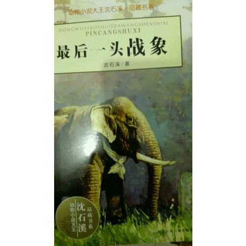 一头战象：动物小说大王沈石溪