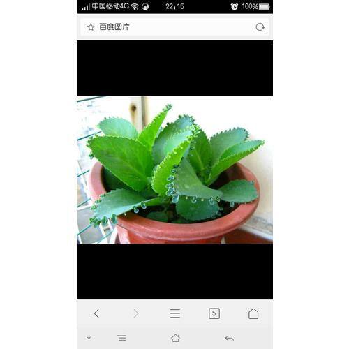 华夏万卷 钢笔字帖:中国古典诗词 楷书