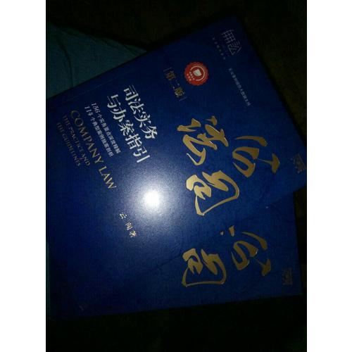 公司法司法实务与办案指引（第二版）